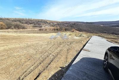 Teren de 500 mp, în Dorobanț - 1