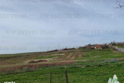 Spațiu comercial, în Pantelimon - 5