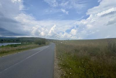 Teren agricol extravilan de 4200 mp, în Ciurila - 7