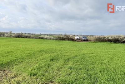 Teren Construcții intravilan de 502 mp, în Săcălaz - 4