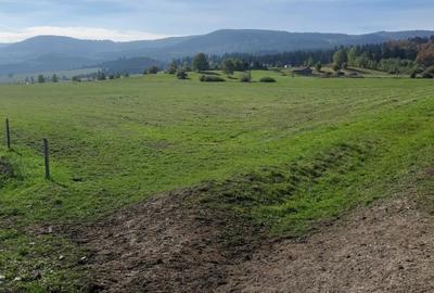 Teren extravilan de 9200 mp, în Băile Miercurea - 2