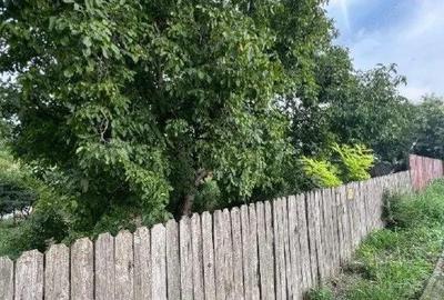 Casa si teren cota parte 1/4 , Negresti, ID: R2765740 - 13
