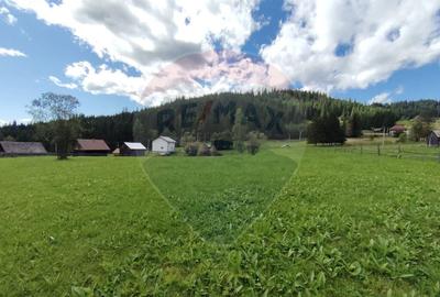 Teren de 14318m.p. in Paltinis, la 100m de strada Princi... - 5