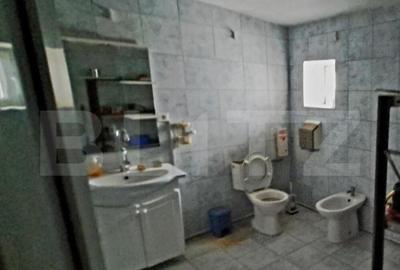 Oportunitate! Teren intravilan 20000 mp si spatiu industrial - 16