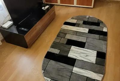 Apartament 2 camere Parter Baile Herculane - 1