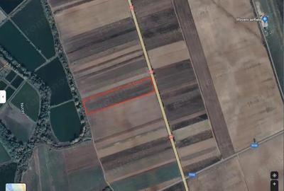 Teren Nucet 8018m Deschidere 21m la DN71 Targoviste - 2
