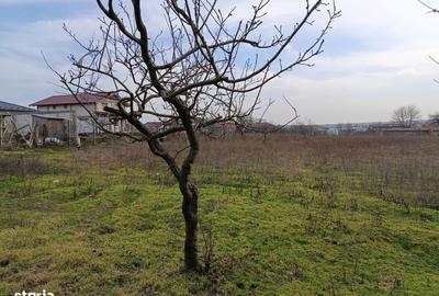 Teren de 4625 mp, în Cataloi - 5