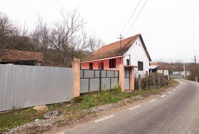 RECO Casa de vacanta la Holod- langa padure- teren 2190mp - 33