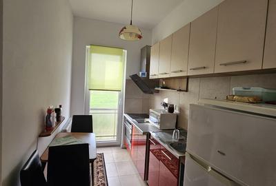 Inchiriez apartament tip studio cu garaj si anexa, Str. Terra, Cluj Napoca - 3