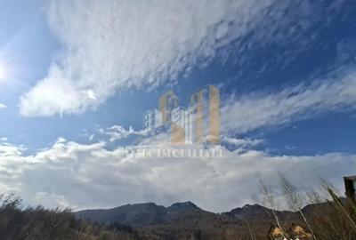 Teren în Tohănița - 2