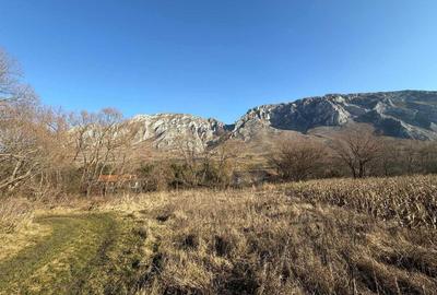 Spațiu comercial, în Rimetea - 5