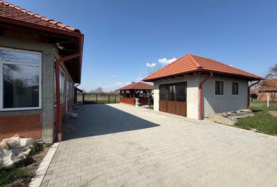 Casă cu 3 camere în Sudriaș - 8