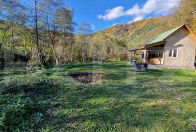 Cabana vacanta, teren 1000mp, acces direct la parau, zona Lacul Tarnita Cabana vacanta, teren 1000mp, acces direct la parau, zona Lacul Tarnita - 2