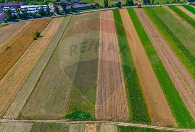 Teren agricol extravilan de 7000 mp, în Teliu - 4
