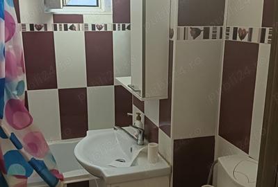 Apartament cu 3 camere decomandat în Ostroveni - 9