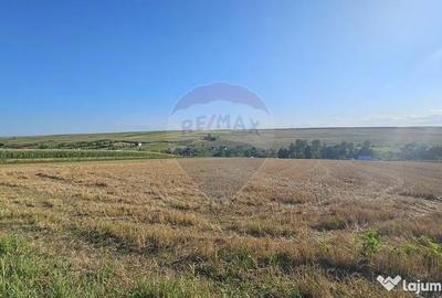 Teren de 7500 mp, în Moara - 10