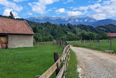 Hotel/Pensiune, de 20 mp, în Șimon - 6