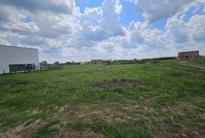 Teren Construcții intravilan de 973 mp, în Giarmata - 2