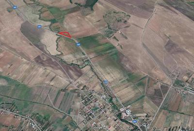 Teren de 28500 mp, în Dobrovăț - 6
