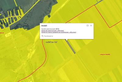 Teren extravilan 12500 mp, Valea Mare, Olt - 7