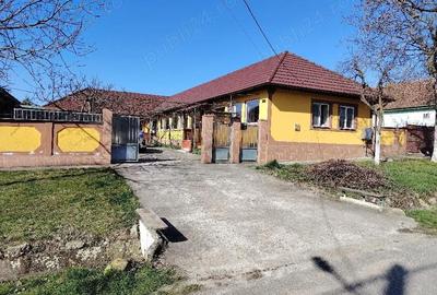 Casă cu 3 camere cu Teren 1567 Mp în Ianova - 6