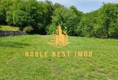 Spațiu comercial, în Central