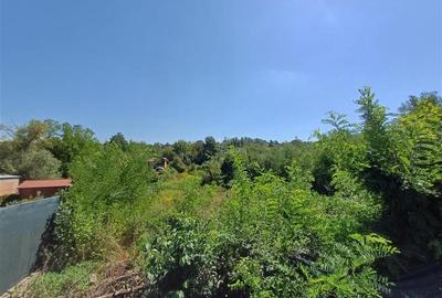 Teren Construcții intravilan de 5615 mp, în Calea Caransebeșului - 11