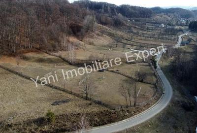 Teren de 4681 mp, în Bărăști - 17