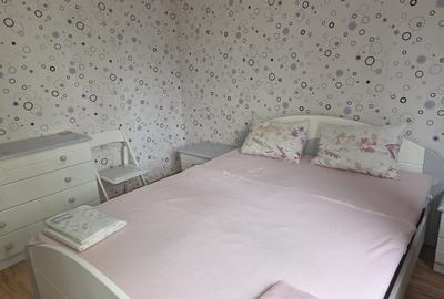 Apartament cu 2 camere decomandat, mobilat în Drumul Taberei - 5