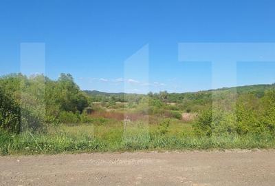 Teren de 1600 mp, în Central - 7