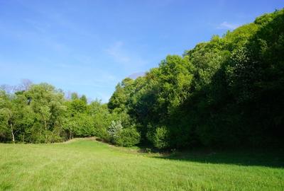 Teren Construcții intravilan de 33137 mp, în Sud-Vest - 7