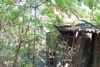 Iam, Casa 5 Camere, Gospodarie, 1439mp Teren, Pret Negociabil - 14