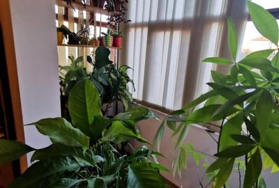 Apartament cu 3 camere semidecomandat, mobilat în Dâmbovița - 6