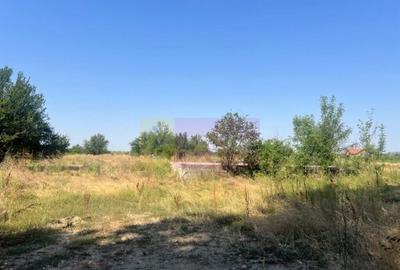 Teren Clinceni- Ordoreanu- langa Dig. - 1