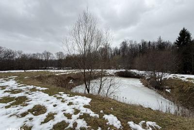 Teren de 3600 mp, în Horodnic - 10