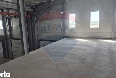 Spațiu comercial, de 2,645 mp, în Tunari - 12