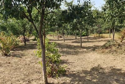 Casă cu 3 camere în Lugoj - 2