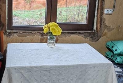 Vand casa batraneasca sat trestia com baita - 1