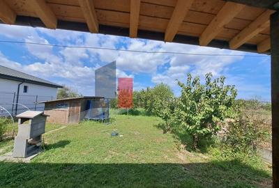 Casa individuala Valu lu Traian - teren mare 1000 mp - 6