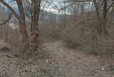 Teren intravilan la drumul na?ional comuna Hangu, Neamt, 5000mp - 6