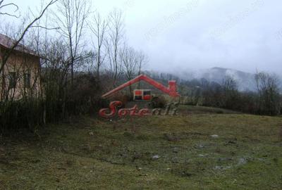 Teren de 2656 mp, în Drăgăneasa - 1