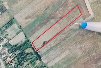 Teren de 6343 mp, în Bradu - 2