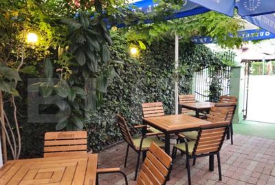 Spatiu comercial, 100 mp, terasa, Bld. Castanilor Spatiu comercial, 100 mp, terasa, Bld. Castanilor - 17