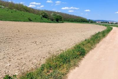 Teren  oportunitate investitie  19.000mp, zona Aeroport, - 2