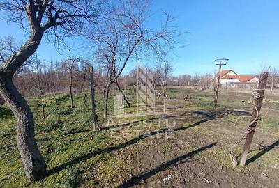 Casă cu 5 camere cu Teren 2158 Mp în Freidorf - 11