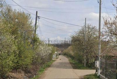 Teren 1525 mp._constructii existente: 69 mp._curent electric_Vlad Tepes-Comana - 3