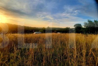 Teren de 1129 mp, în Borhanci