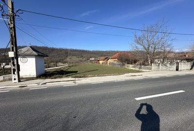 Spațiu comercial, în Cocoru - 4