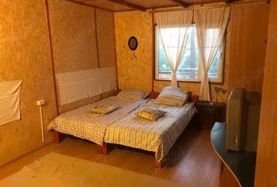 Casă cu 5 camere cu Teren 400 Mp în Mahmudia - 3