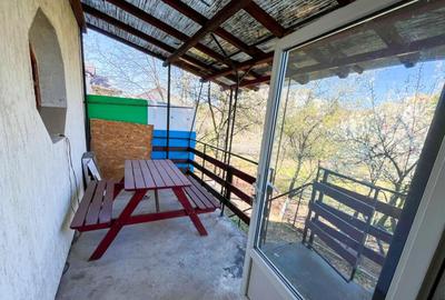 Vila Trivale Pitesti - 5